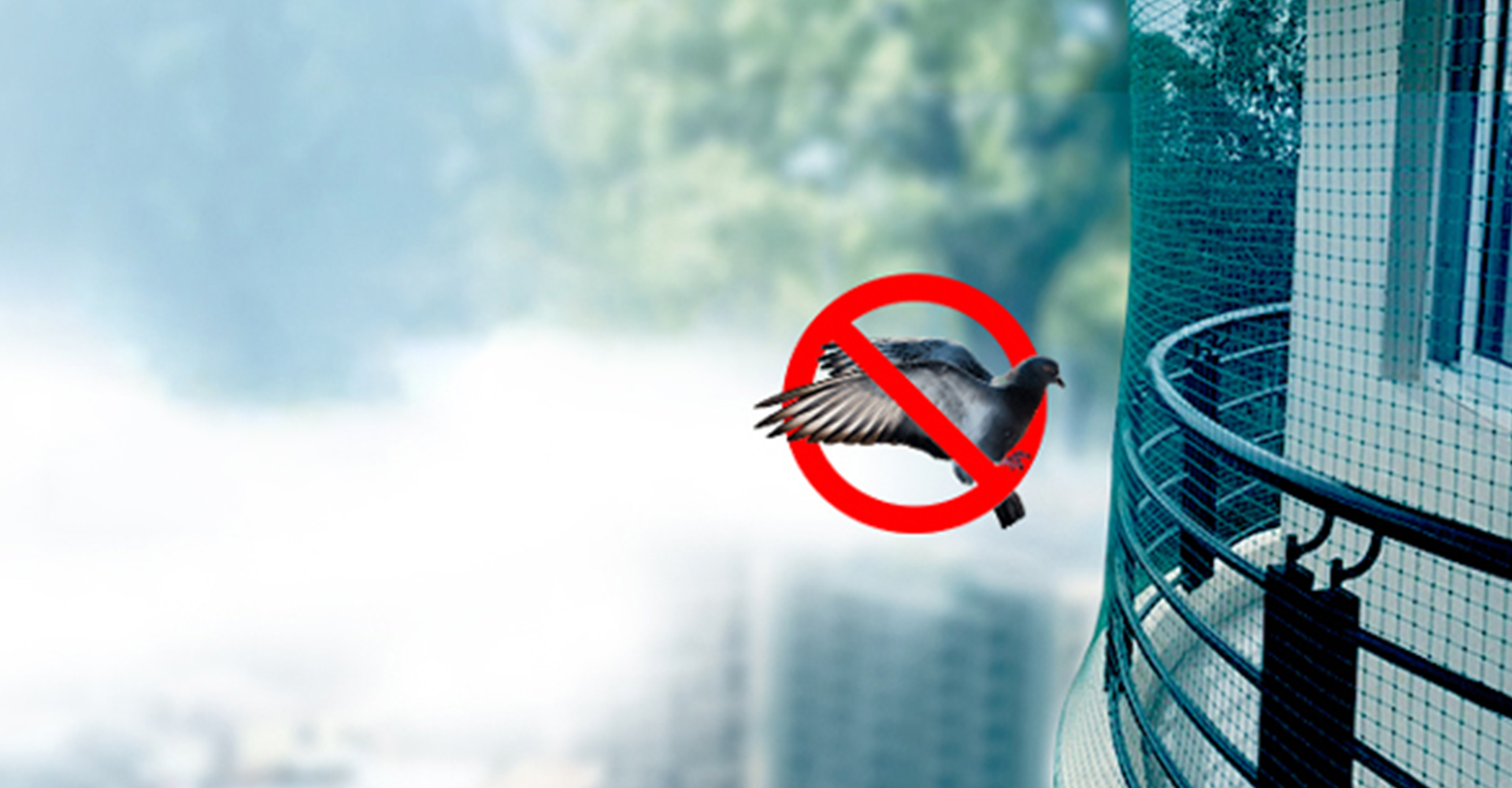 Bird Net & Pigeon Net