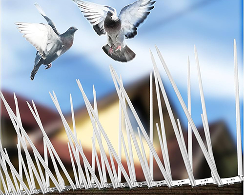 Bird Spike